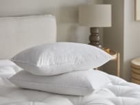 Pillows of the web discount