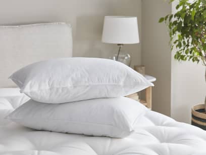 Friendly Kip Pillows