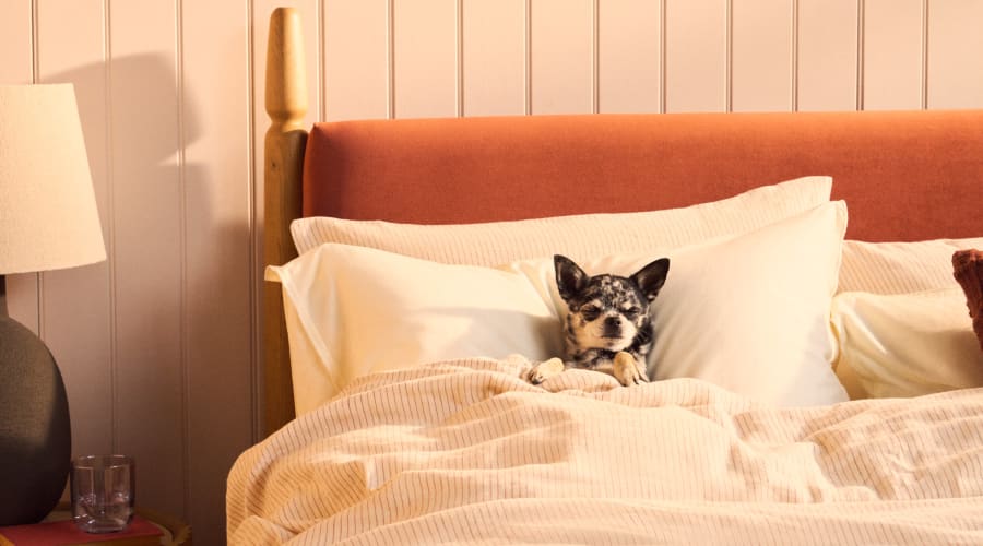 Pippi bed