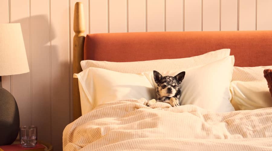 Pippi bed