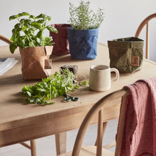 Springtime means it’s time to start potting your autumn veggies. Our cool Scrumple storage bags are made out of clever eco paper that's coated for easy cleaning.⁠