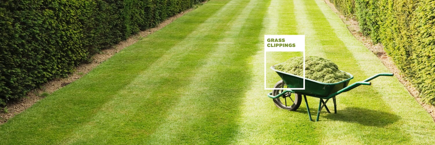 Grass Clippings Green