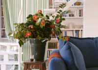 Weekender Sofa in Shipping Forecast Blue Linen