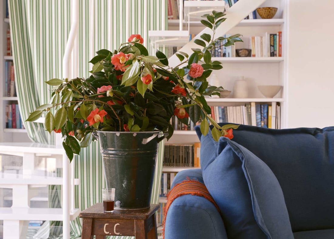 Weekender Sofa in Shipping Forecast Blue Linen