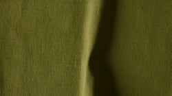 POTTED PLANT GREEN TWILL DIGITAL SWATCH