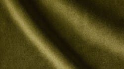 POTTED PLANT GREEN VELVET DIGITAL SWATCH