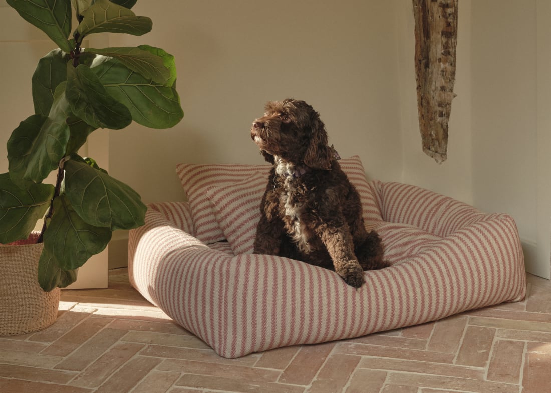 Woofins Medium Dog Bed Homeware