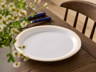 Nibbler Plate Butler Sink Noodler Bowl Butler Sink 001 HR