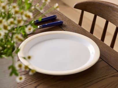 Nibbler Plate Butler Sink Noodler Bowl Butler Sink 001 HR