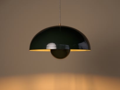 Double Domey Ceiling Light Potted Plant On 72dpi
