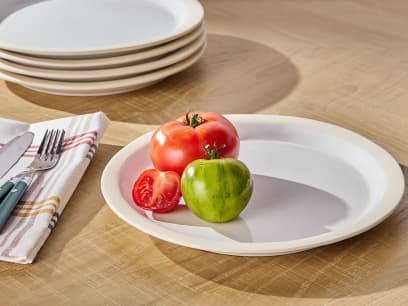Nibbler Plate Butler Sink main