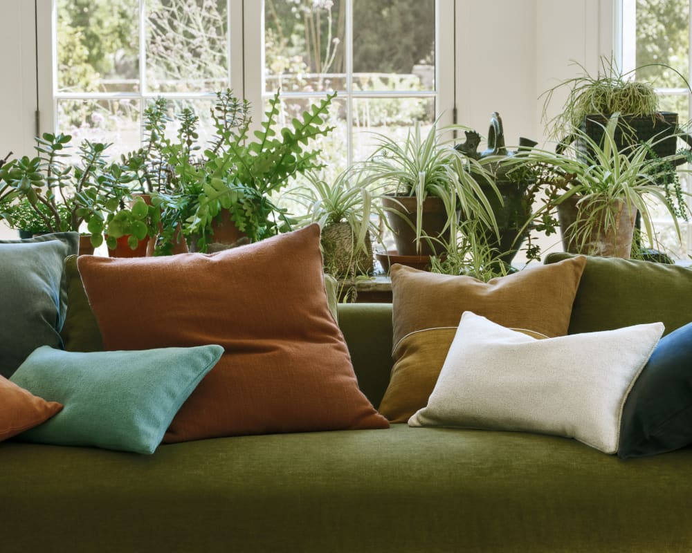 Mixed cushion range