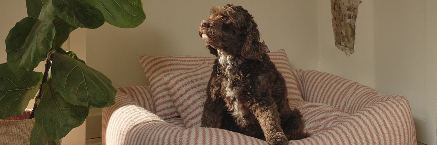 Snoozing spots for everyone