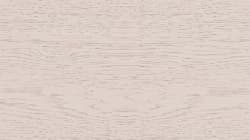 Pressed petals