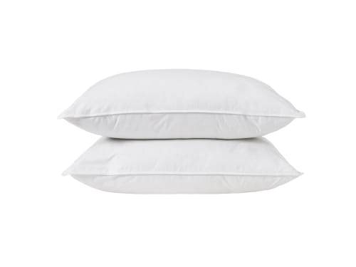 Friendly Kip Set of 2 Pillows