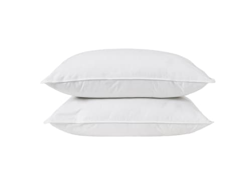 Friendly Kip Set of 2 Pillows
