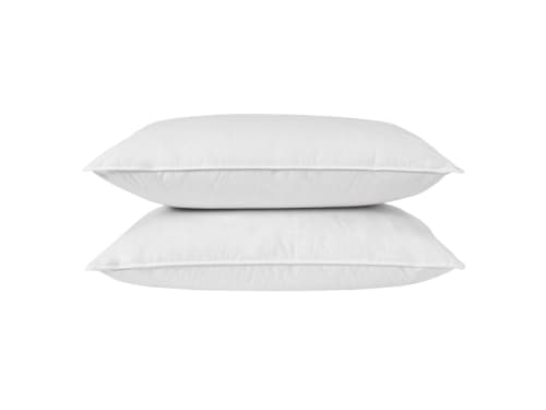 Top Kip Set of 2 Pillows